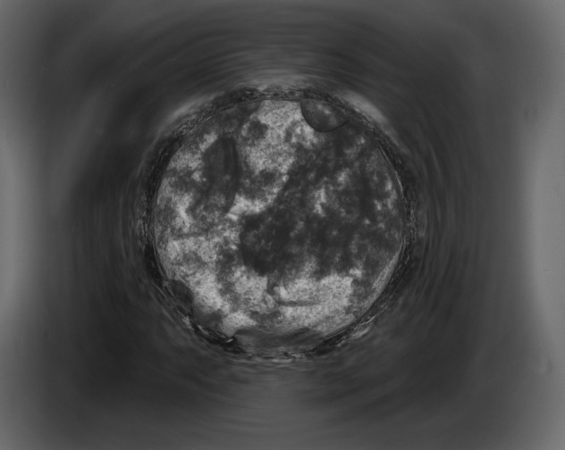 X0000084561063200703231753