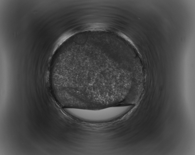 X0000084561066200703231753