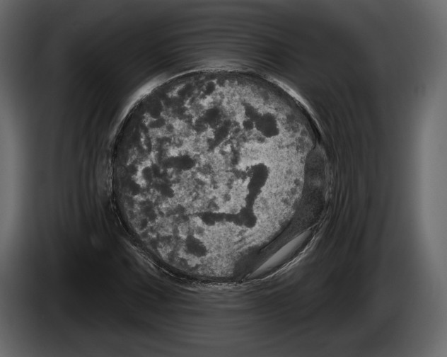 X0000084561067200703231753