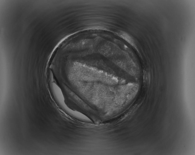 X0000084561068200703231753