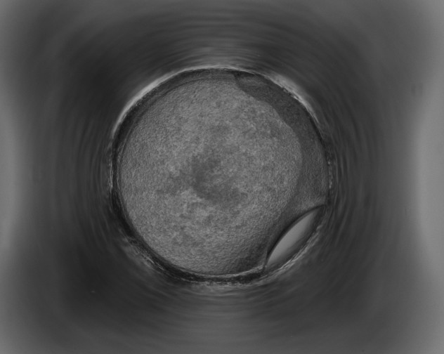 X0000084561069200703231753