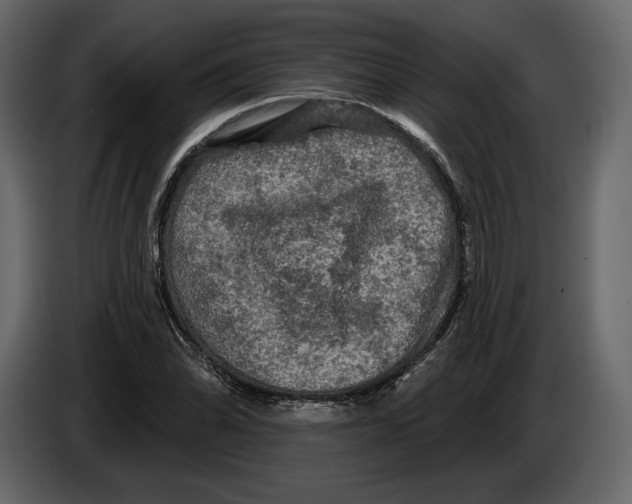 X0000084561070200703231753