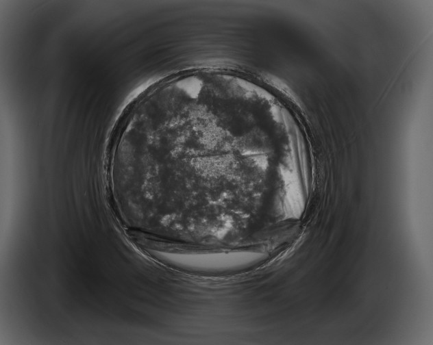 X0000084561071200703231753