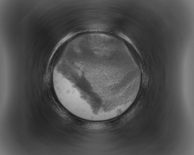 X0000084561074200703231753