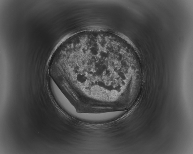 X0000084561075200703231753