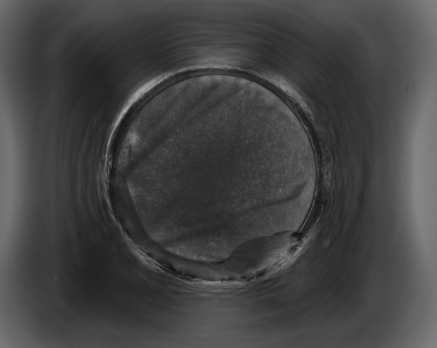 X0000084561077200703231753