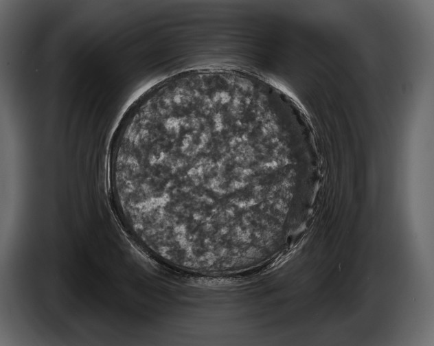 X0000084561079200703231753