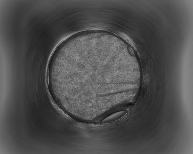 X0000084561080200703231753