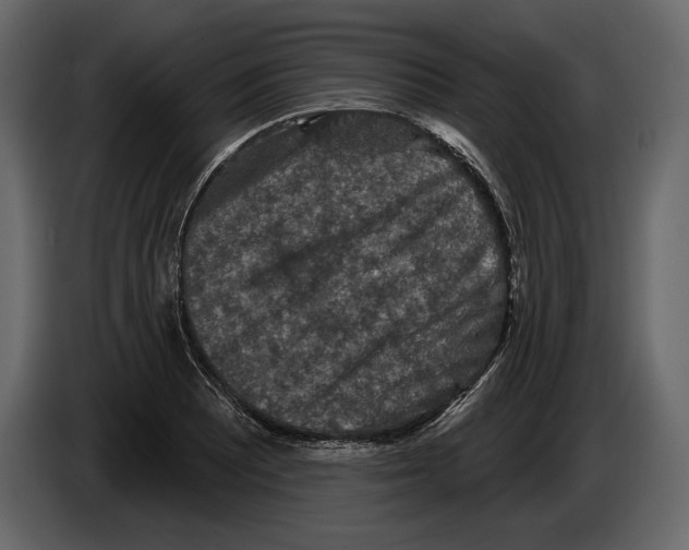 X0000084561081200703231753