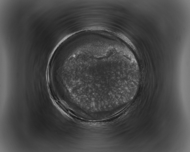 X0000084561084200703231753