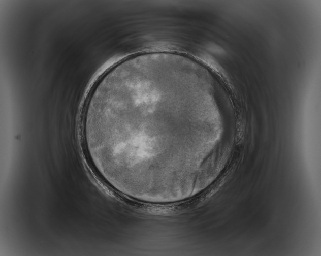 X0000084561086200703231753