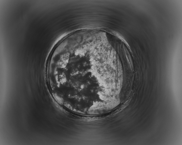 X0000084561087200703231753