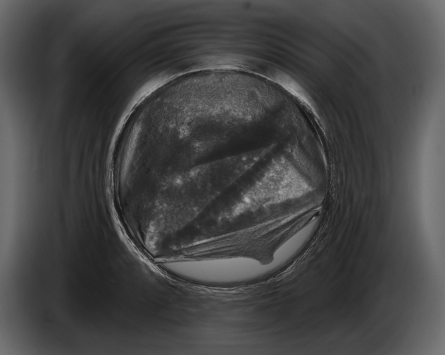 X0000084561088200703231753