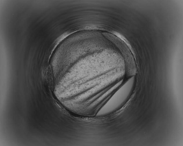 X0000084561089200703231753