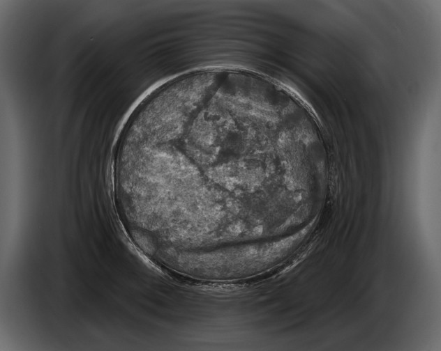 X0000084561092200703231753