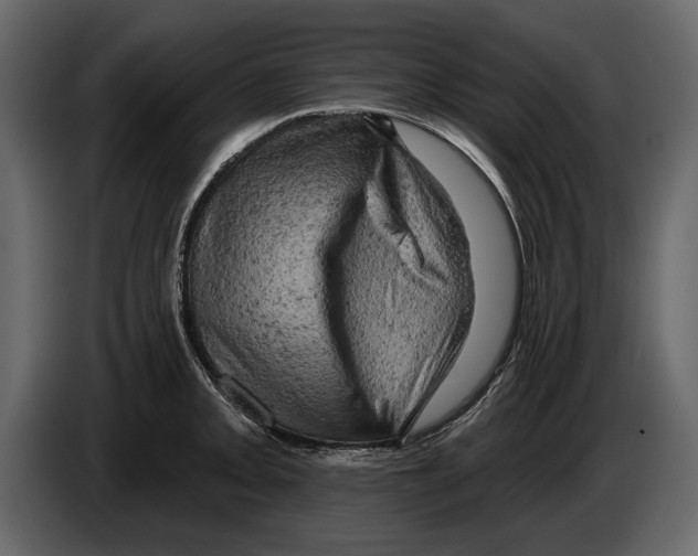 X0000084561093200703231753