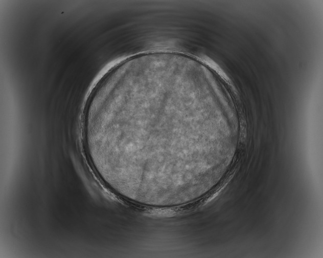 X0000084561094200703231753