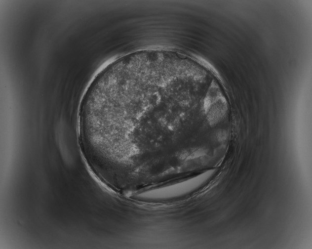 X0000084561095200703231753