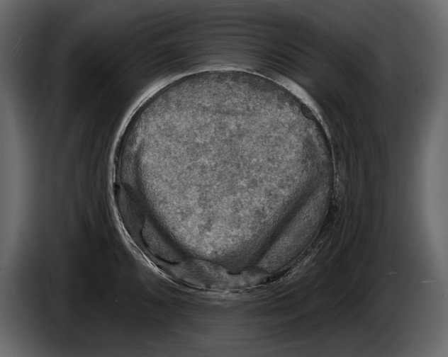 X0000084561096200703231753