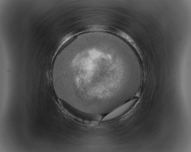 X0000084561097200703231753