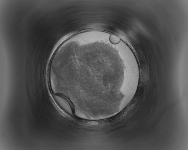 X0000084561098200703231753