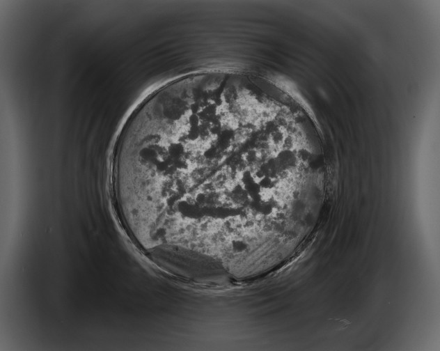 X0000084561099200703231753