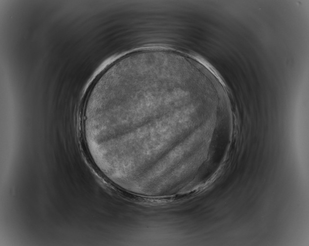 X0000084561101200703231753