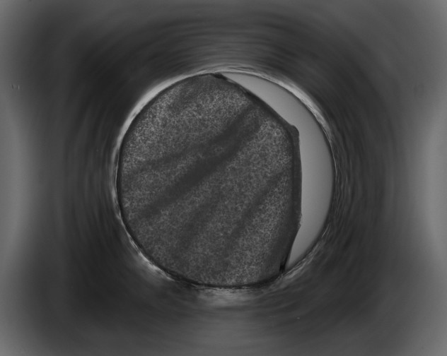 X0000084561102200703231753