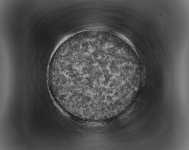 X0000084561103200703231753