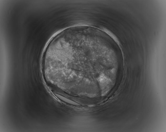 X0000084561104200703231753