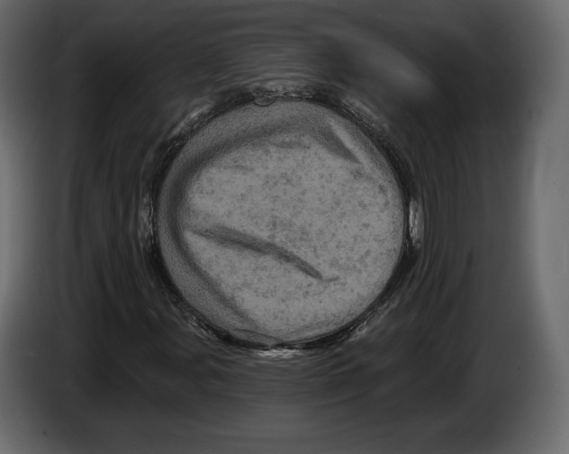 X0000084561107200703231752