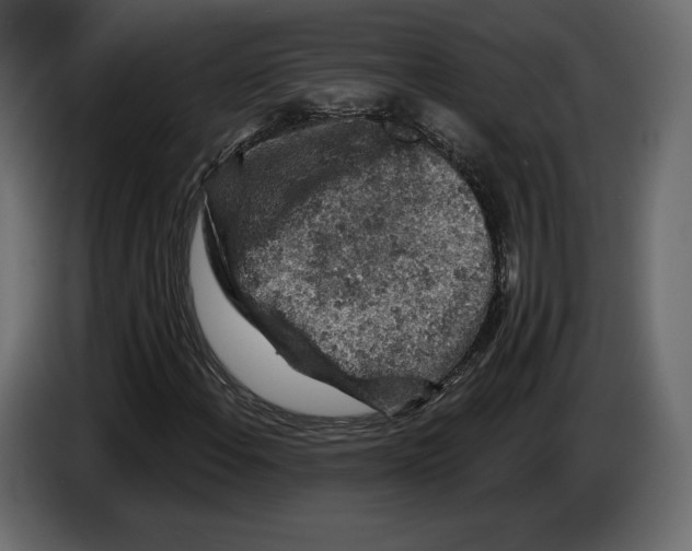 X0000084561108200703231752