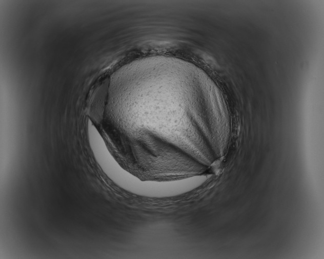 X0000084561109200703231752