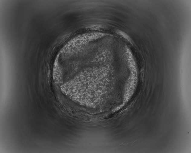 X0000084561111200703231752