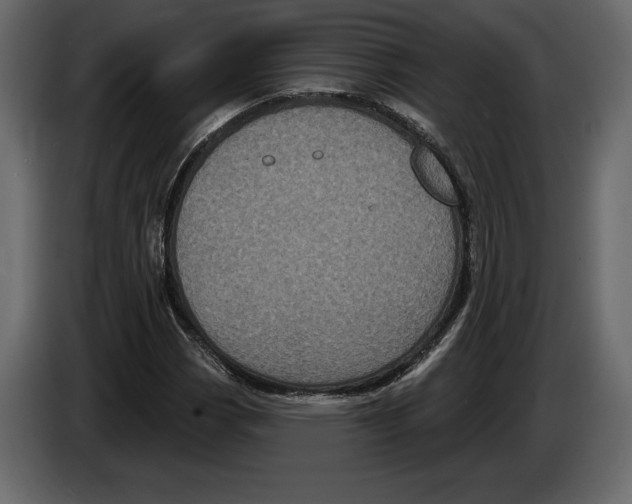 X0000084561113200703231752