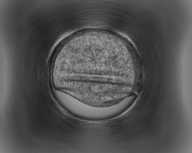 X0000084561114200703231752