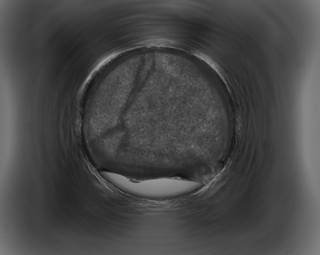 X0000084561115200703231752