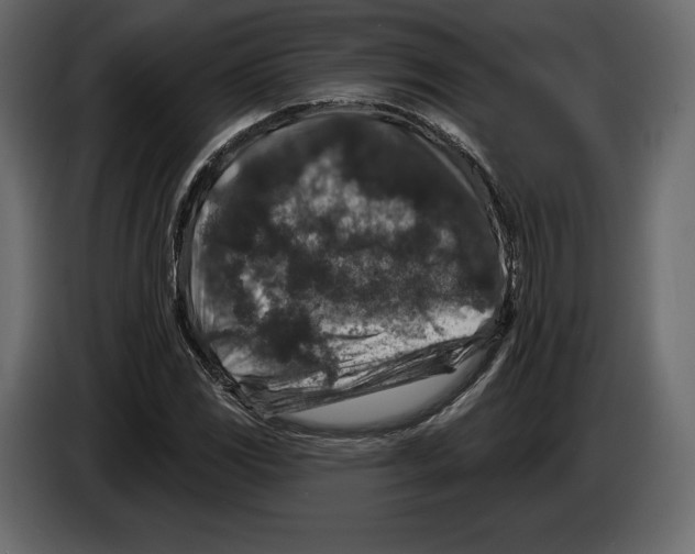 X0000084561117200703231752