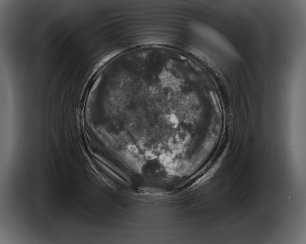 X0000084561121200703231752