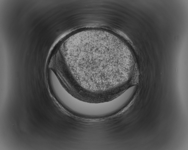 X0000084561122200703231752