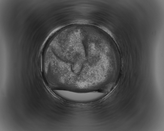 X0000084561123200703231752