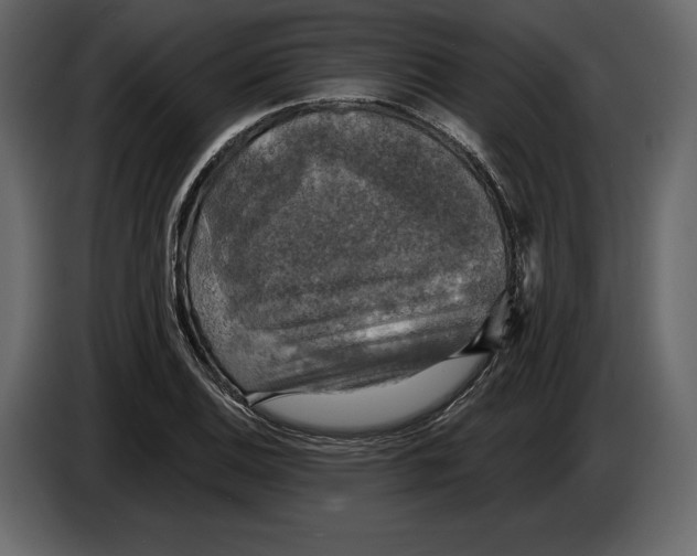 X0000084561124200703231753