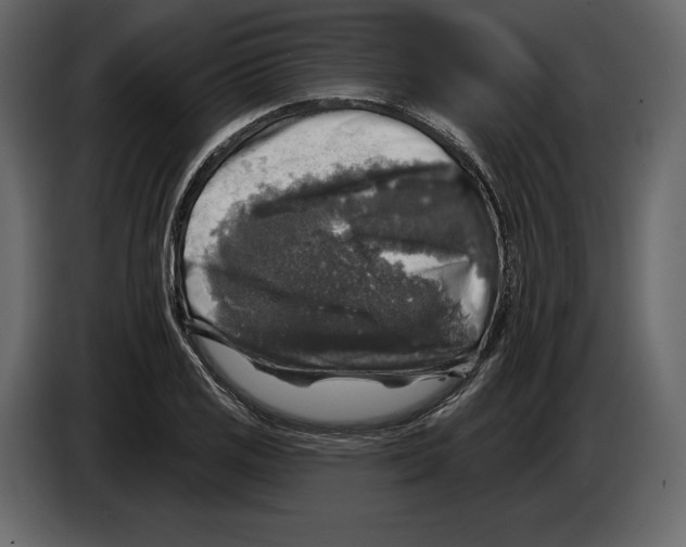 X0000084561125200703231753