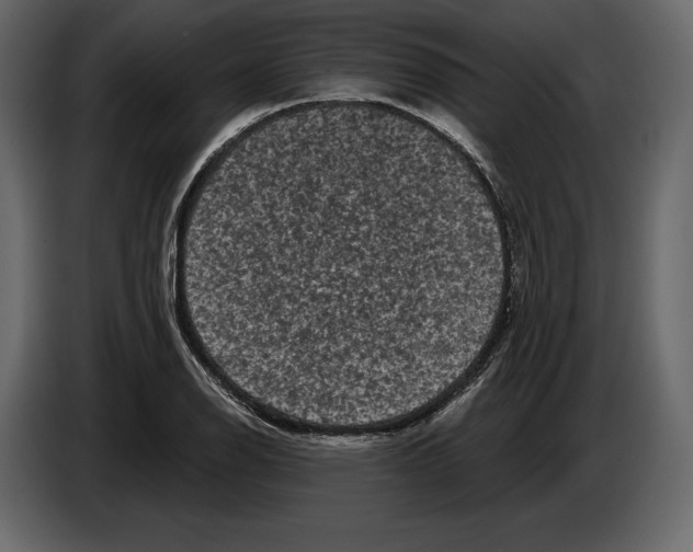 X0000084561126200703231753