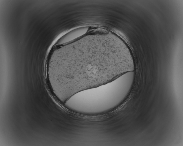 X0000084561128200703231753