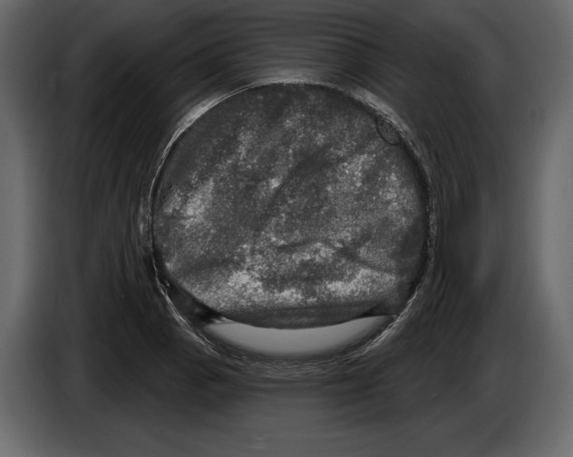 X0000084561129200703231753