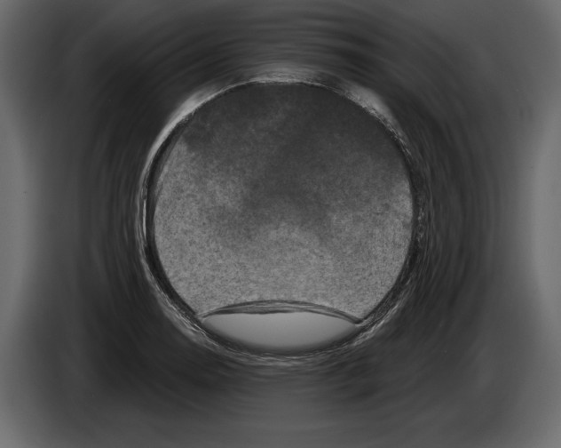 X0000084561130200703231753