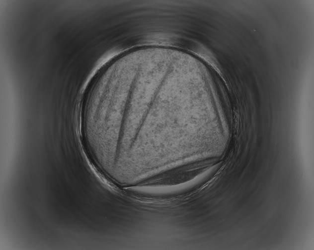 X0000084561131200703231753