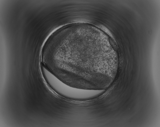 X0000084561132200703231753