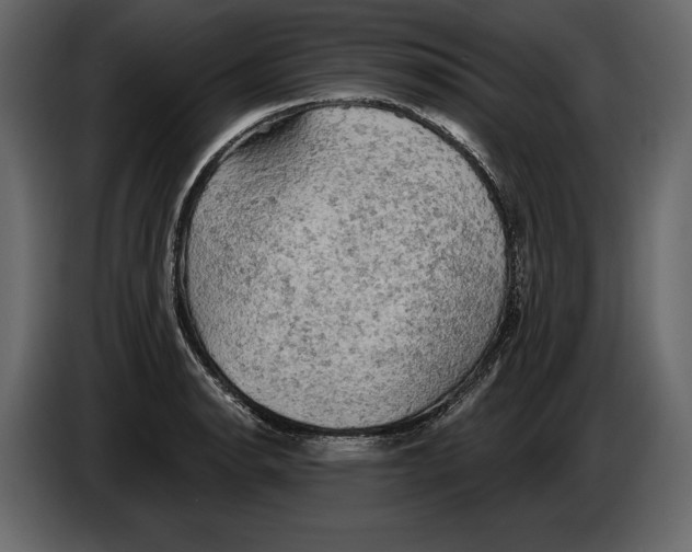 X0000084561134200703231753